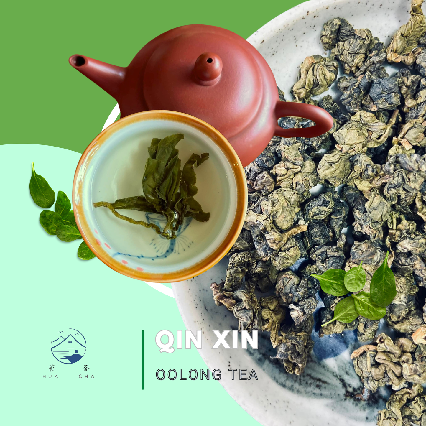 Qinxin Oolong Tea